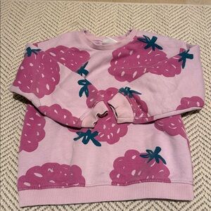 Zara Light Pink Sweatshirt with Strawberry Design
